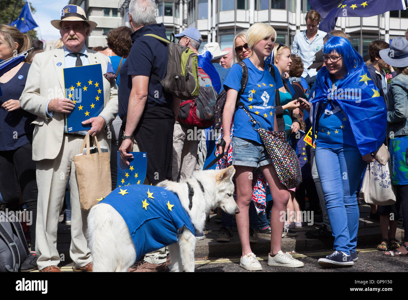 London, UK. 3rd September, 2016. thousands march in cities across the UK protesting against Brexit. London's demonstration marched to Parliament Square, two days before Parliament reconvenes to debate Britain’s future with Europe. Comedian Eddie Izzard was among the speakers. Credit:  On Sight Photographic/Alamy Live News Stock Photo