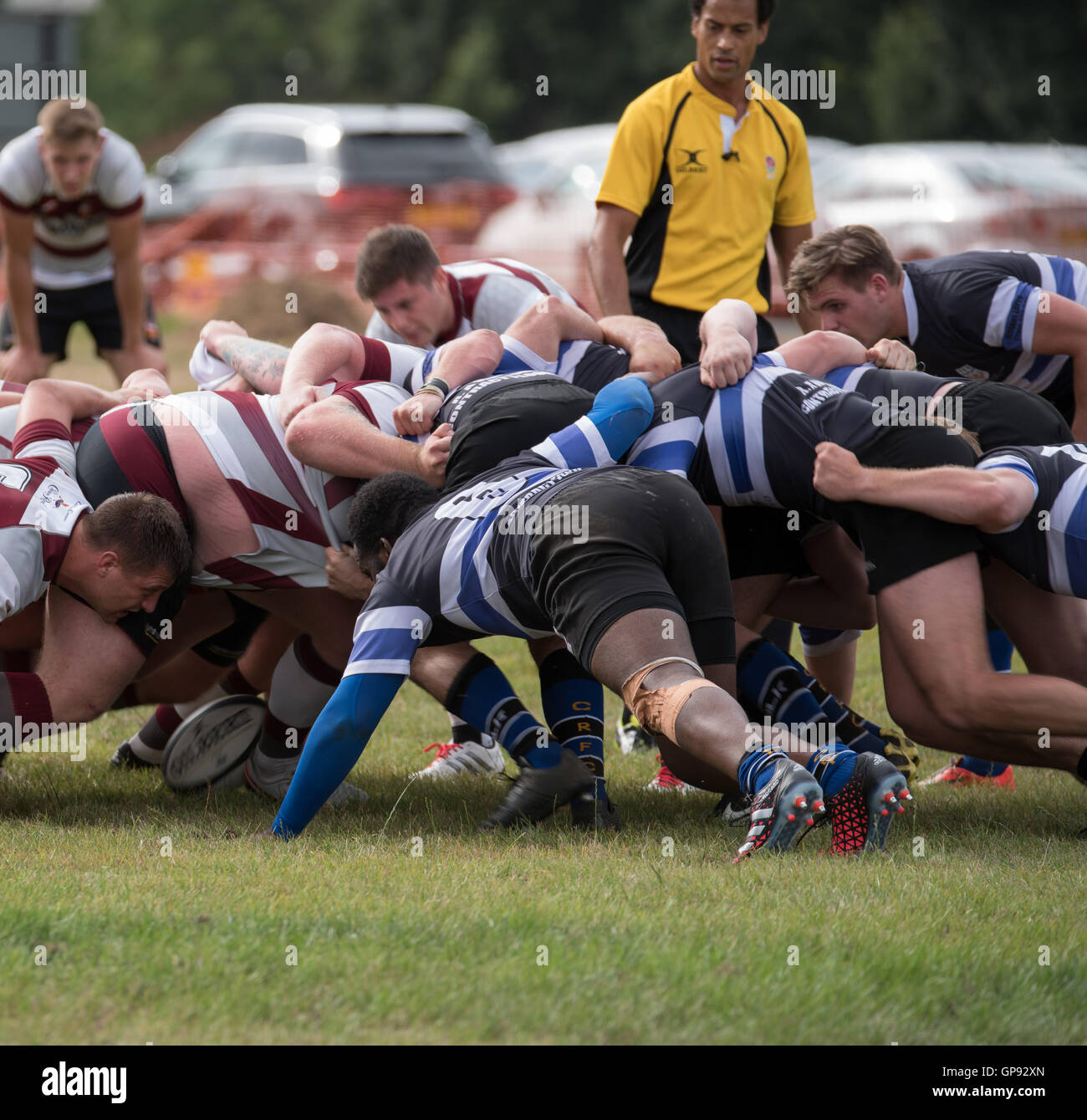 Shoreham RFC Child's Green Pro Match Socks Shoreham RFC Child's Green Pro Match Socks