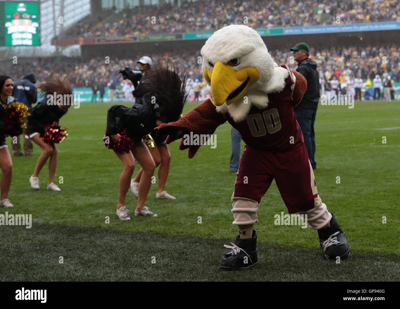 Boston College brings back live bald eagle mascot after 47 years