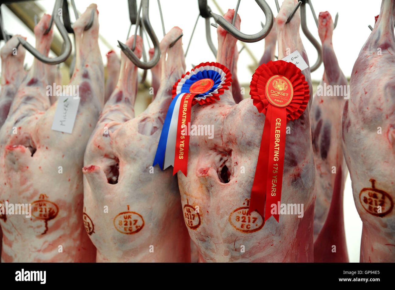 Dorchester, Dorset, UK. 03rd Sep, 2016. Sheep carcass competition Credit:  Dorset Media Service/Alamy Live News Stock Photo