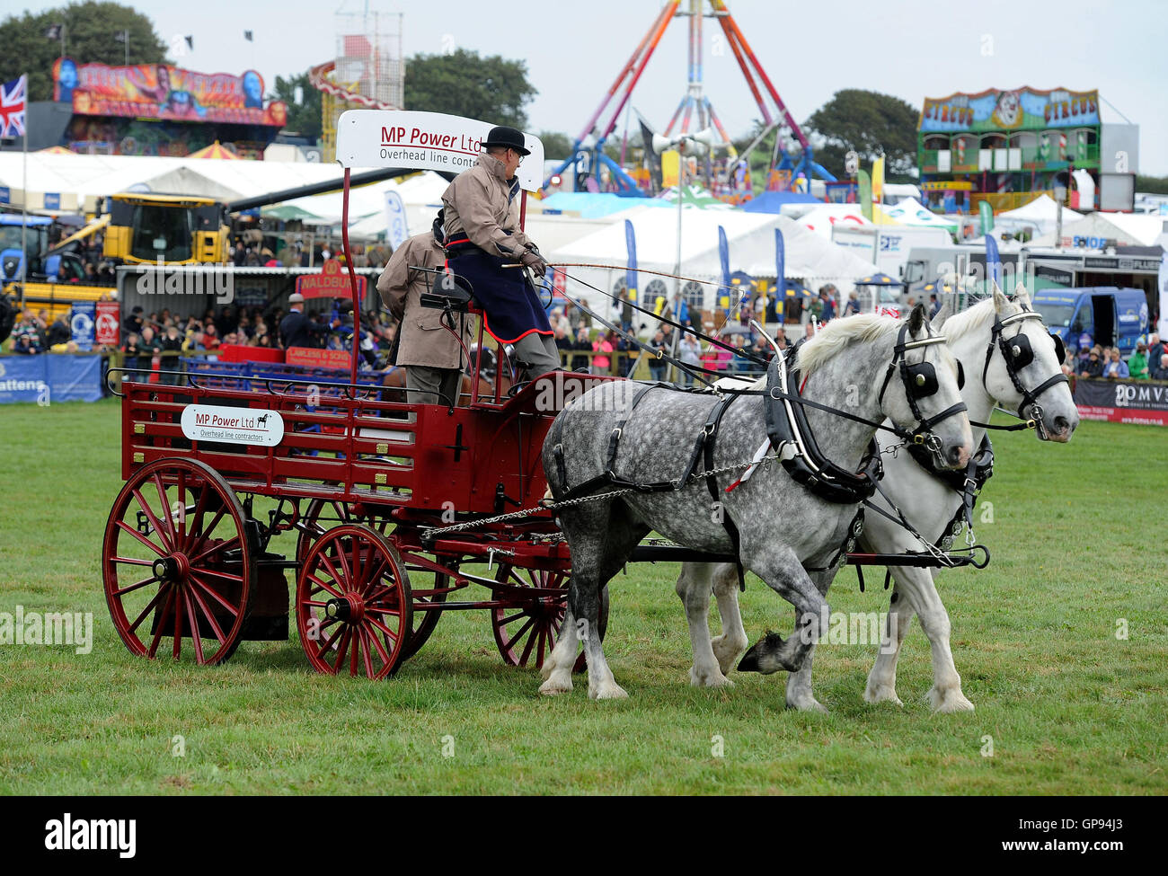 Dorchester, Dorset, UK. 03rd Sep, 2016. Heavy Horse display Credit:  Dorset Media Service/Alamy Live News Stock Photo