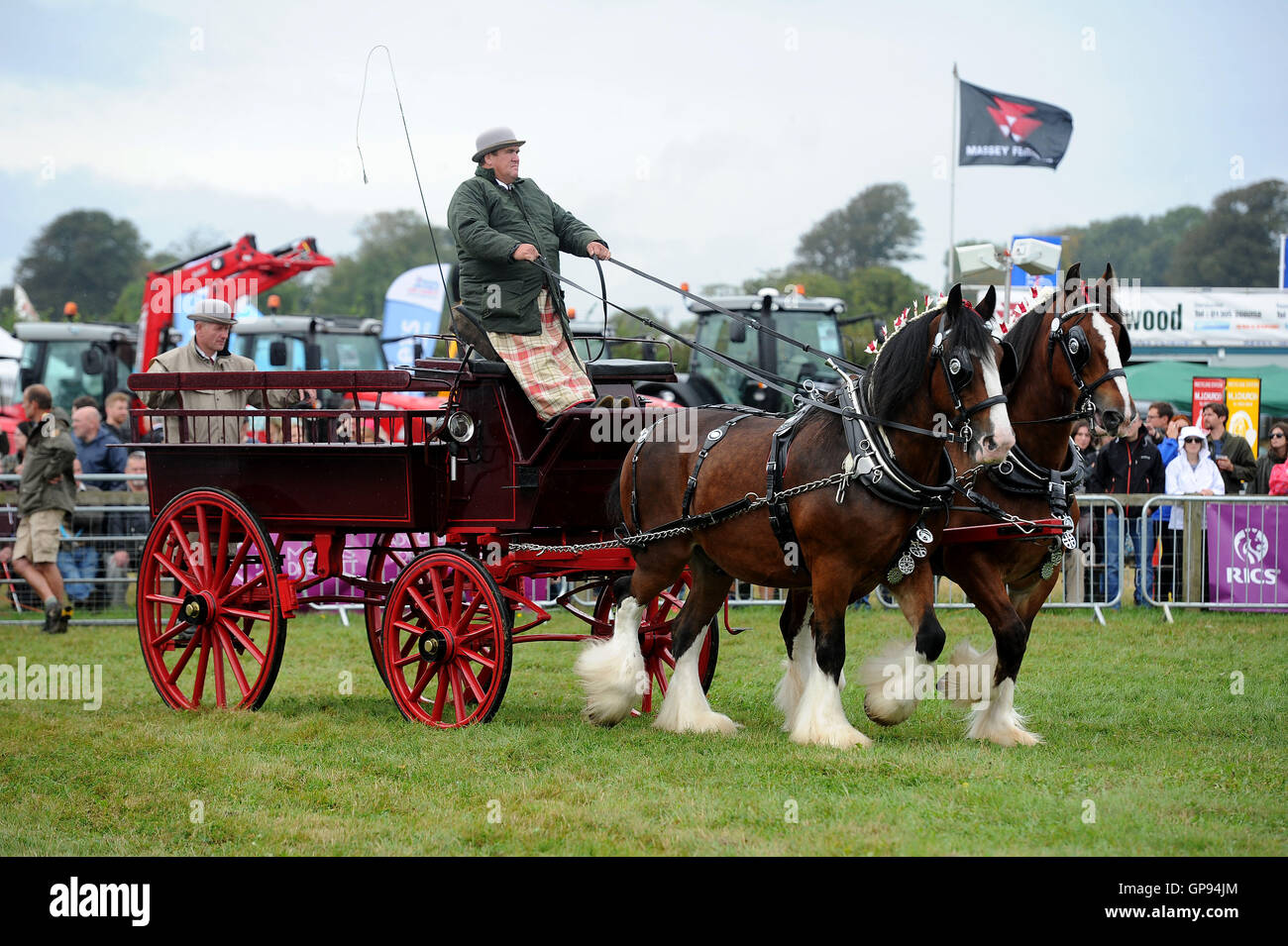 Dorchester, Dorset, UK. 03rd Sep, 2016. Heavy Horse display Credit:  Dorset Media Service/Alamy Live News Stock Photo