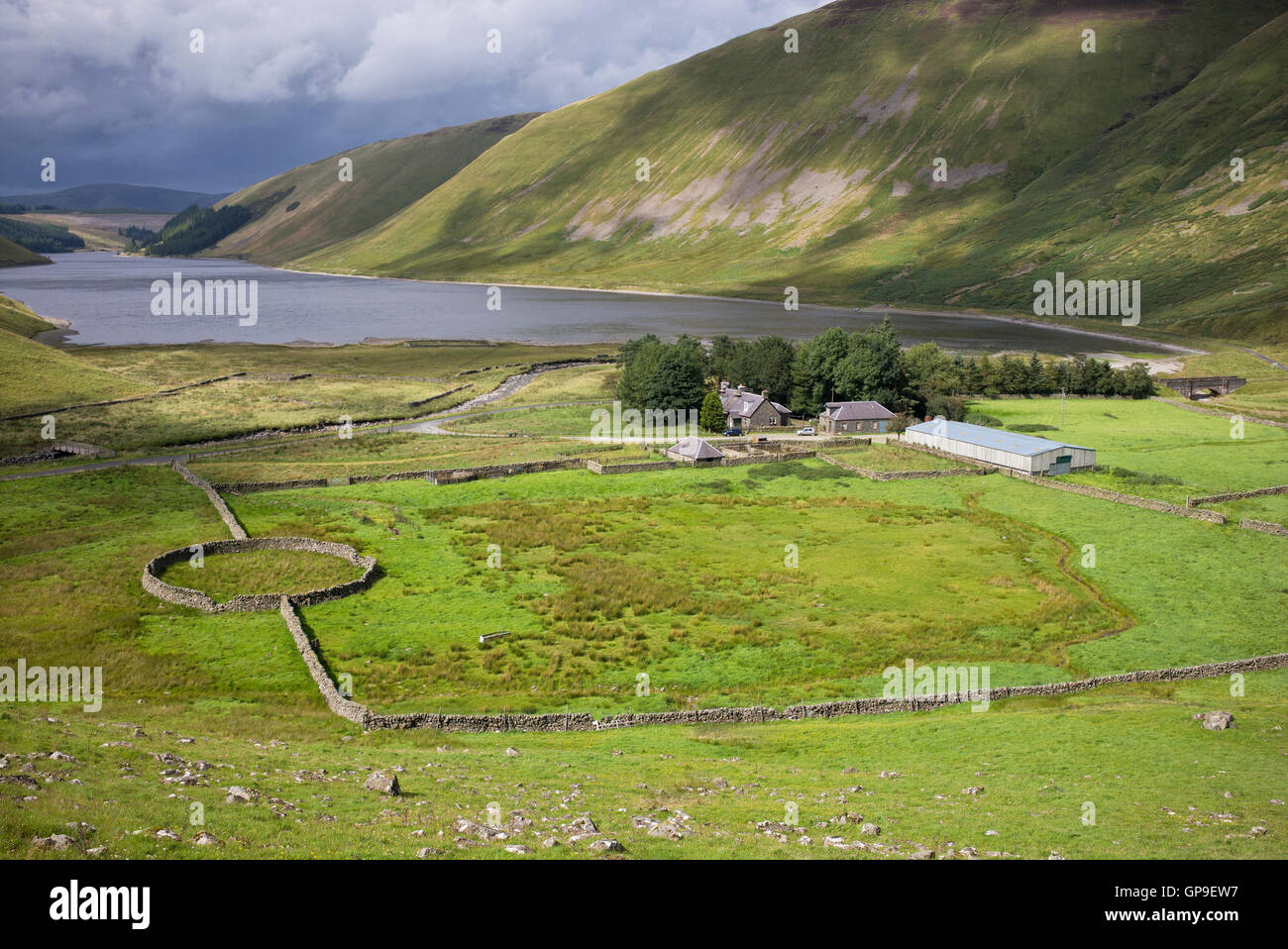Talla linfoots valley reservoir and farm. Scottish borders. Scotland Stock Photo