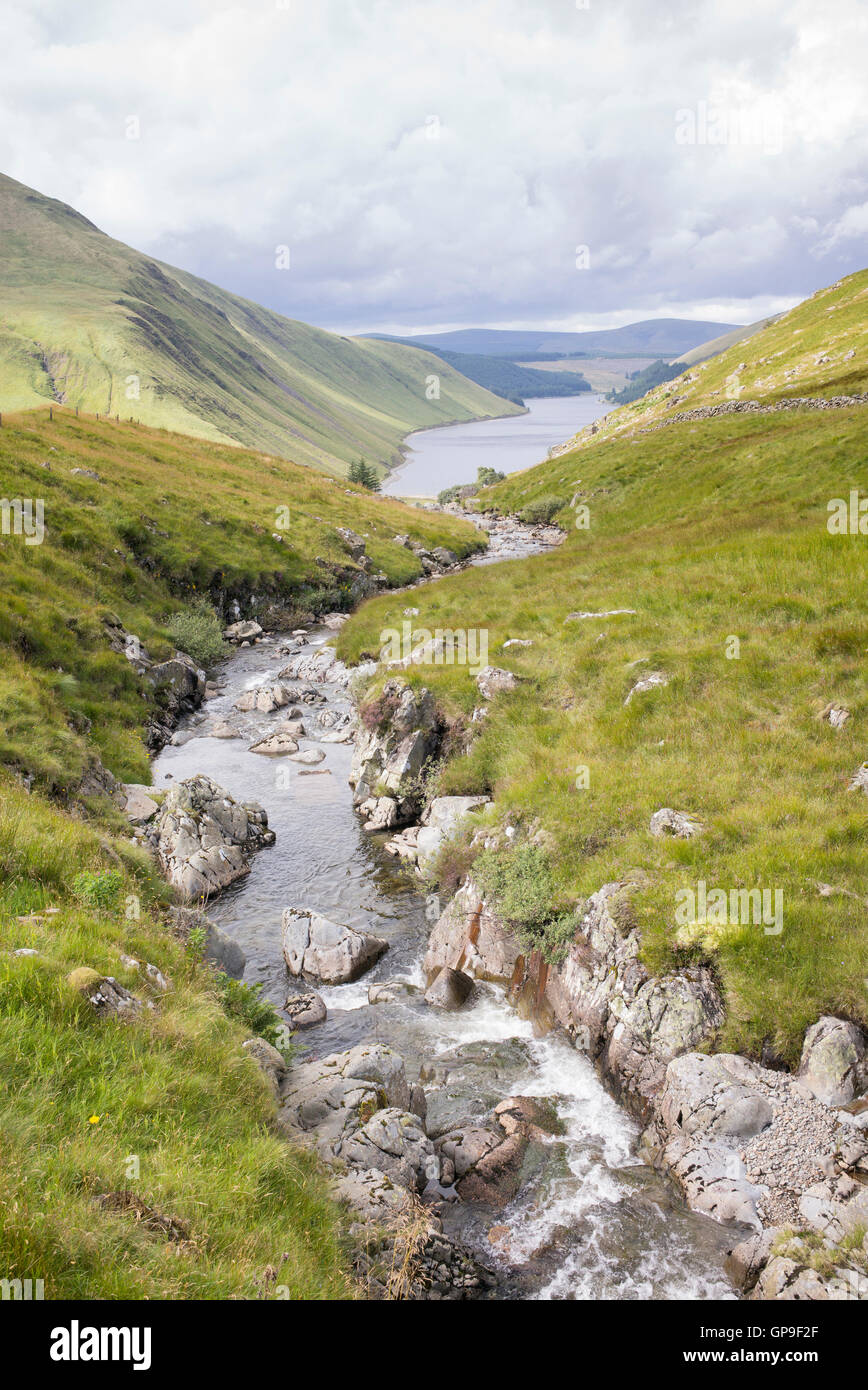 Talla linfoots valley towards talla reservoir. Scottish borders. Scotland Stock Photo