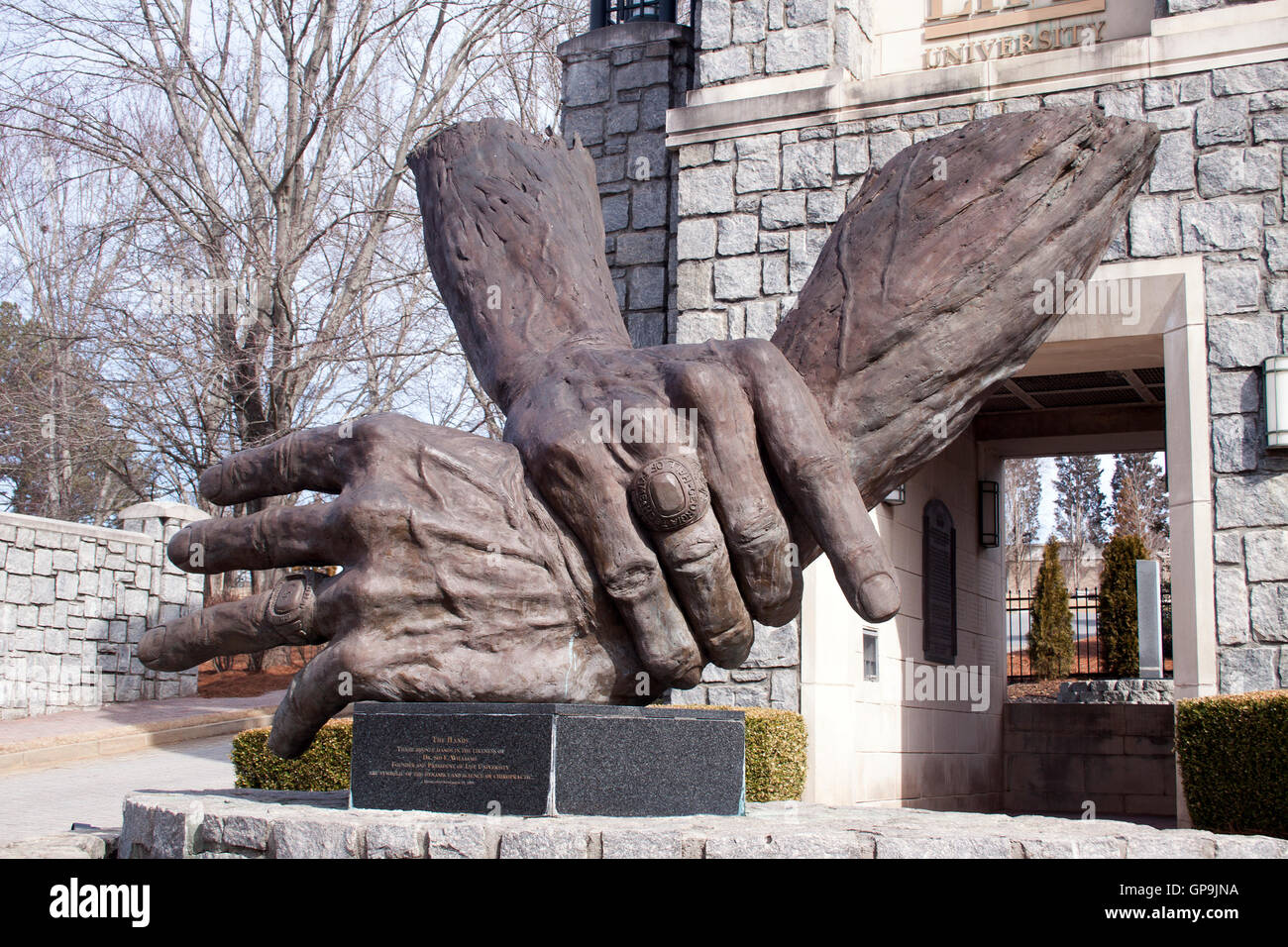 chiropractic-hands