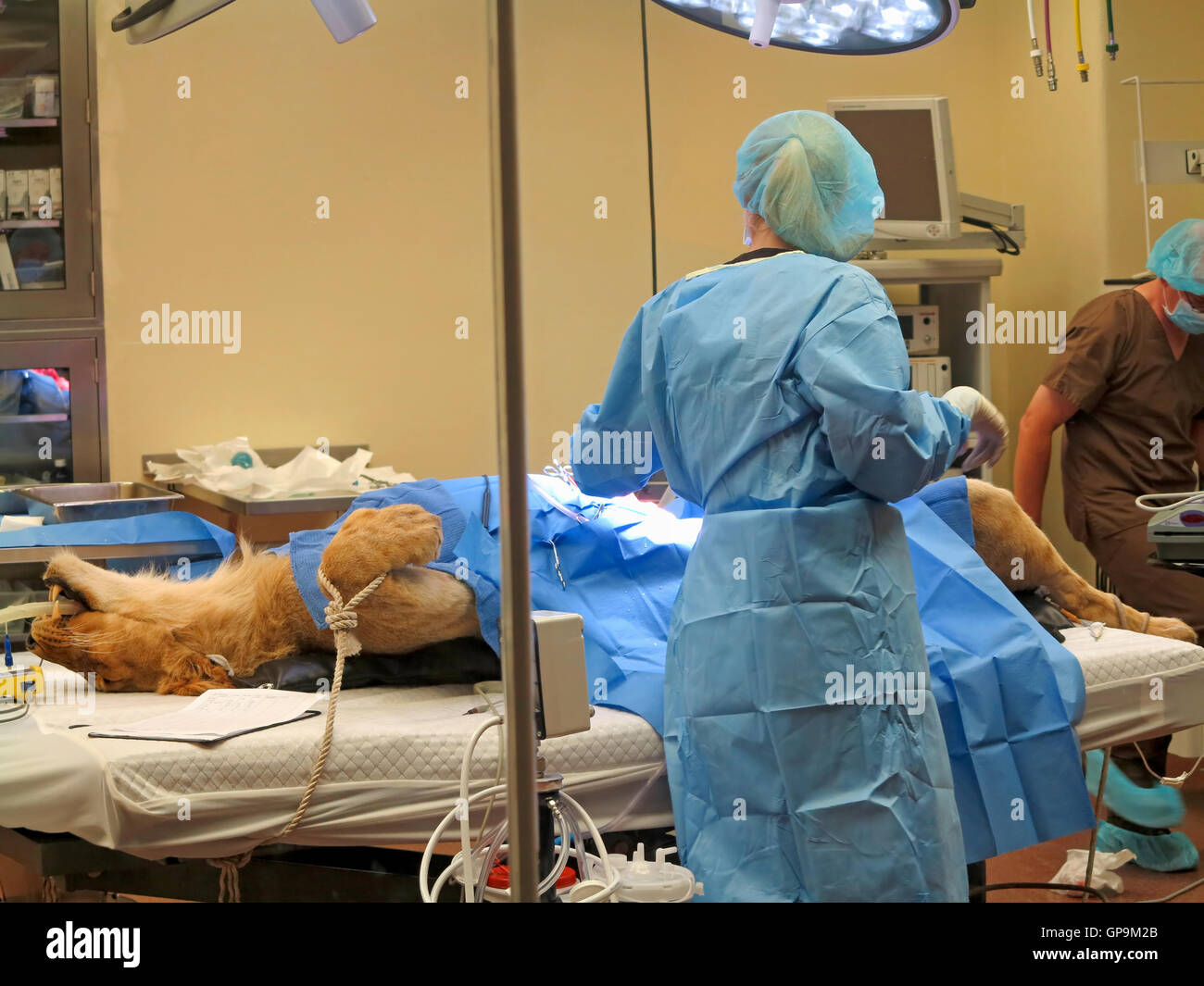 Fingers operation hires stock photography and images Alamy