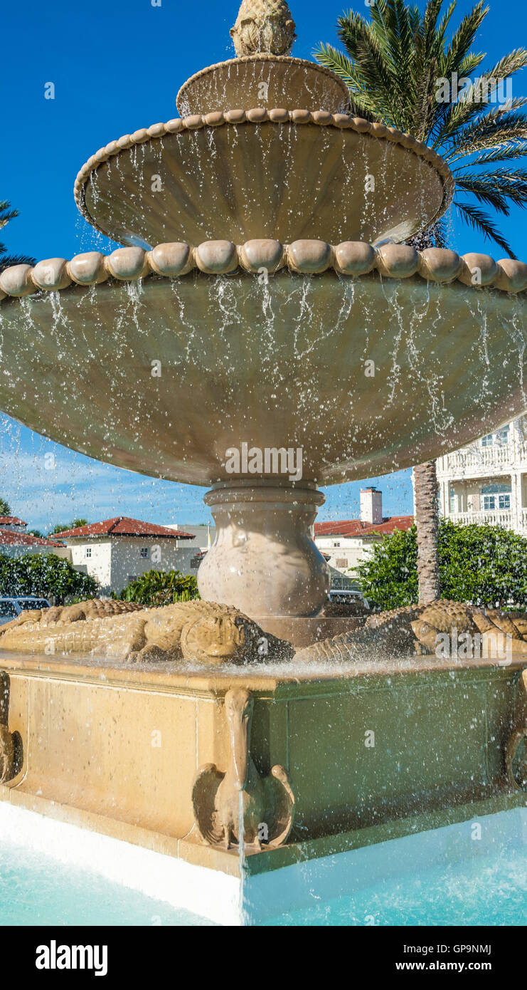 Florida alligator beach hires stock photography and images Alamy