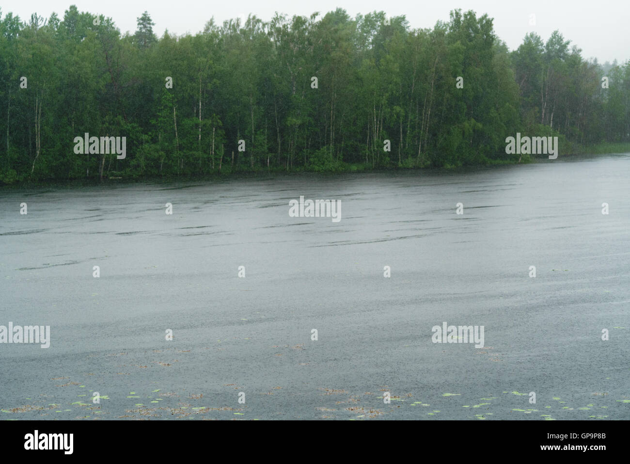 rainy morning on scandinavian lake Stock Photo Alamy