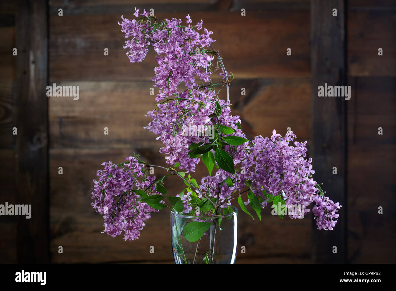 Liliac flowers against wooden background Stock Photo