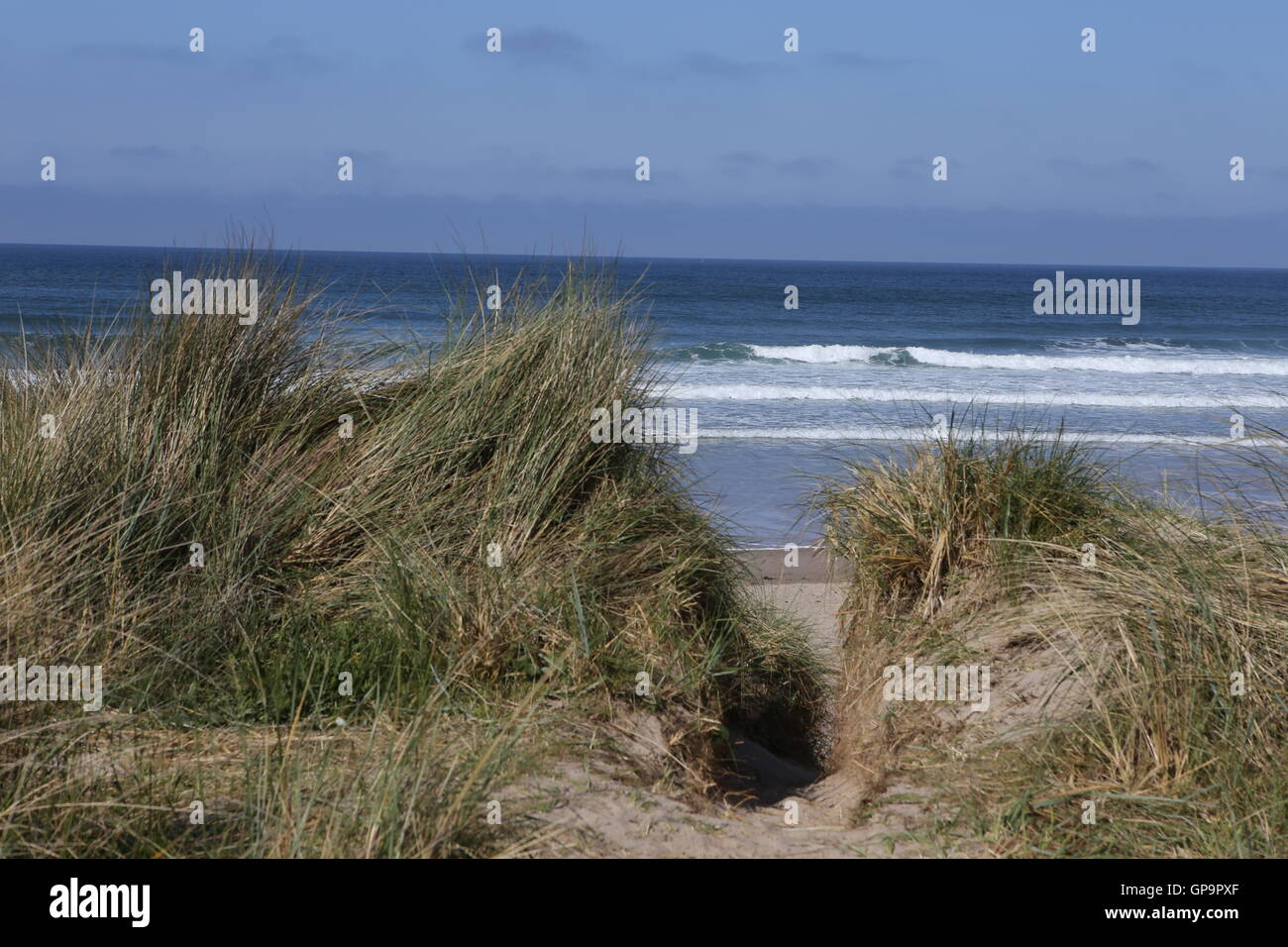Sand Dunes next to sea - North East England - Northumberland - sea grass Stock Photo