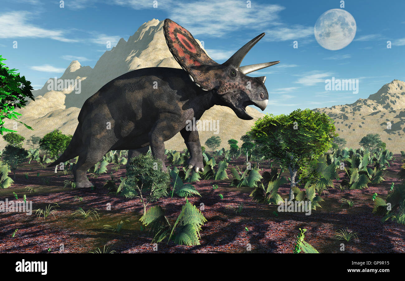 Torosaurus Herbivore Dinosaur. Stock Photo