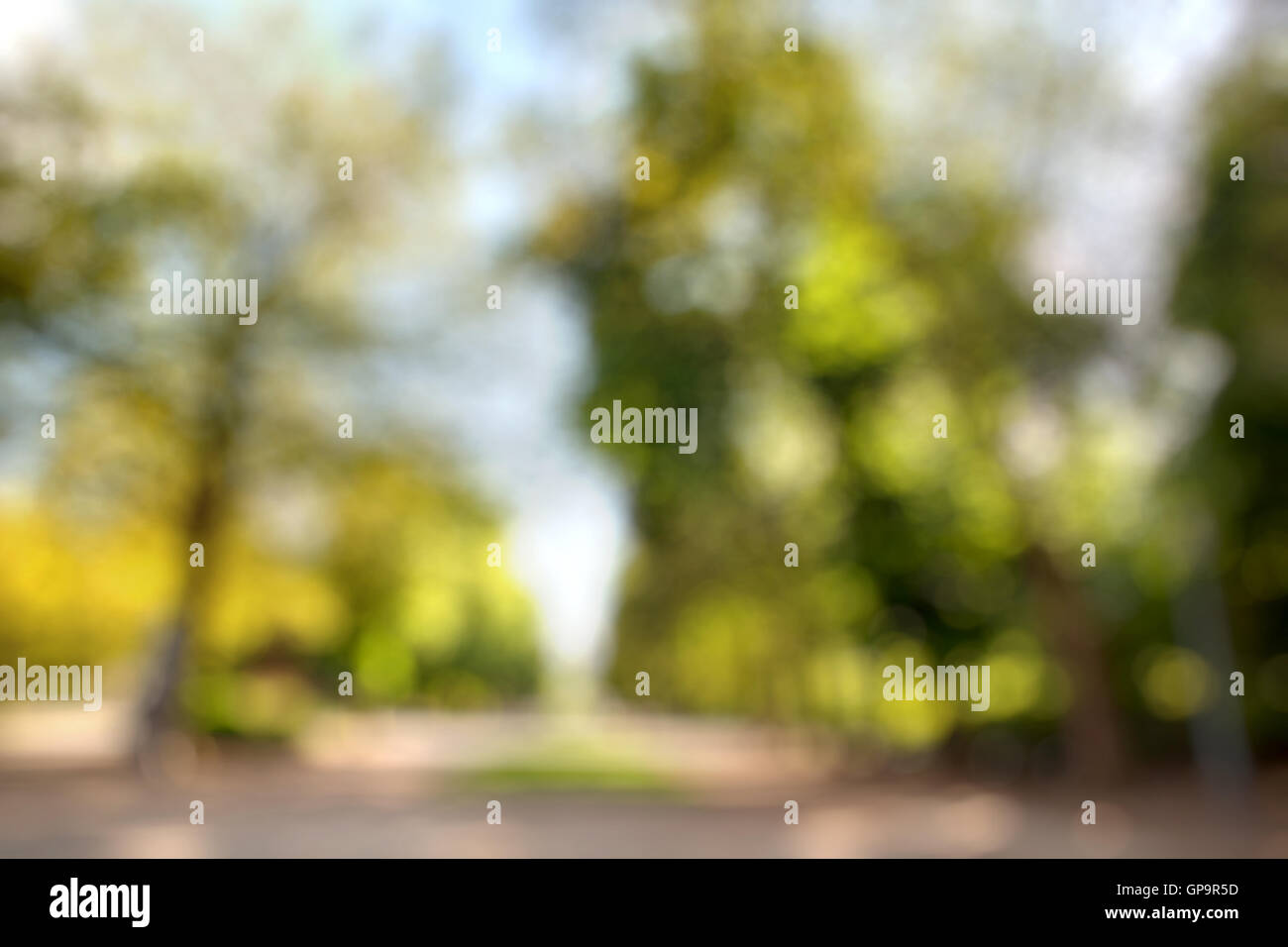 Summer city park blurred background Stock Photo - Alamy