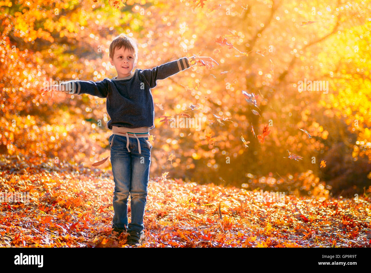 Happy boy throwing autumn leaves in the park Stock Photo - Alamy