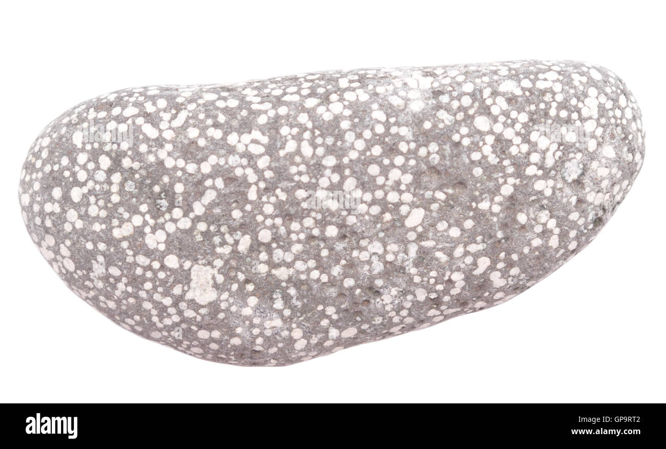 pebble isolated on white background Stock Photo - Alamy