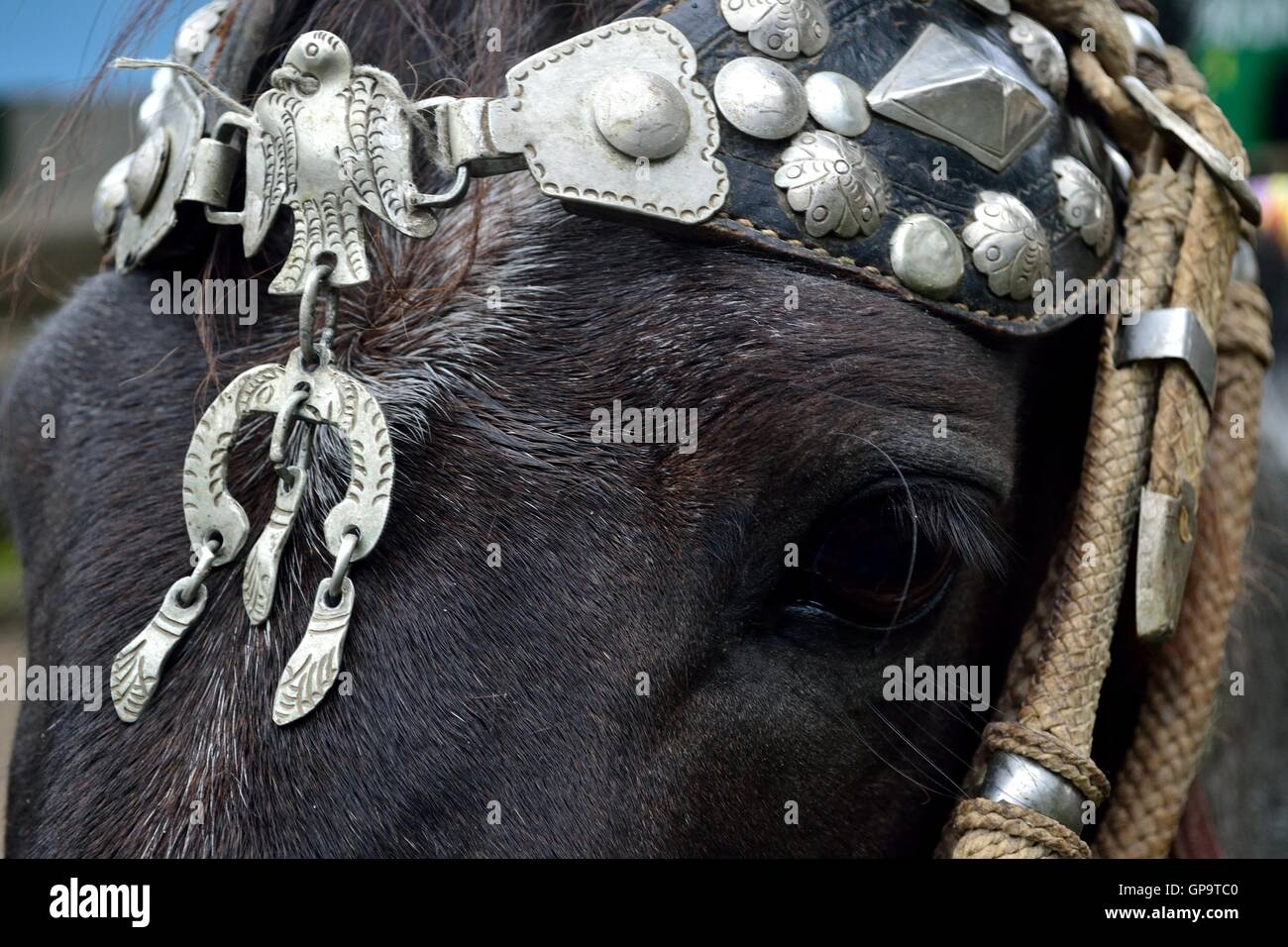 Silver ornament - Horse race - Fiestas de la Virgen del Carmen and Fiestas Patrias ( Independence Day ) in Sapalache ' - PERU Stock Photo