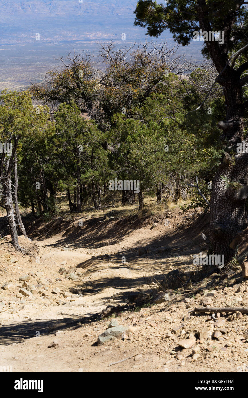 Oak Ridge Trail High Resolution Stock Photography and Images - Alamy