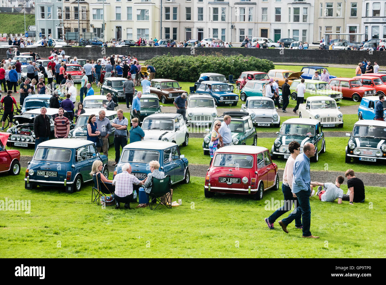 Lots of Austin Minis parked up at a Mini Car Owners' Club exhibition Stock Photo