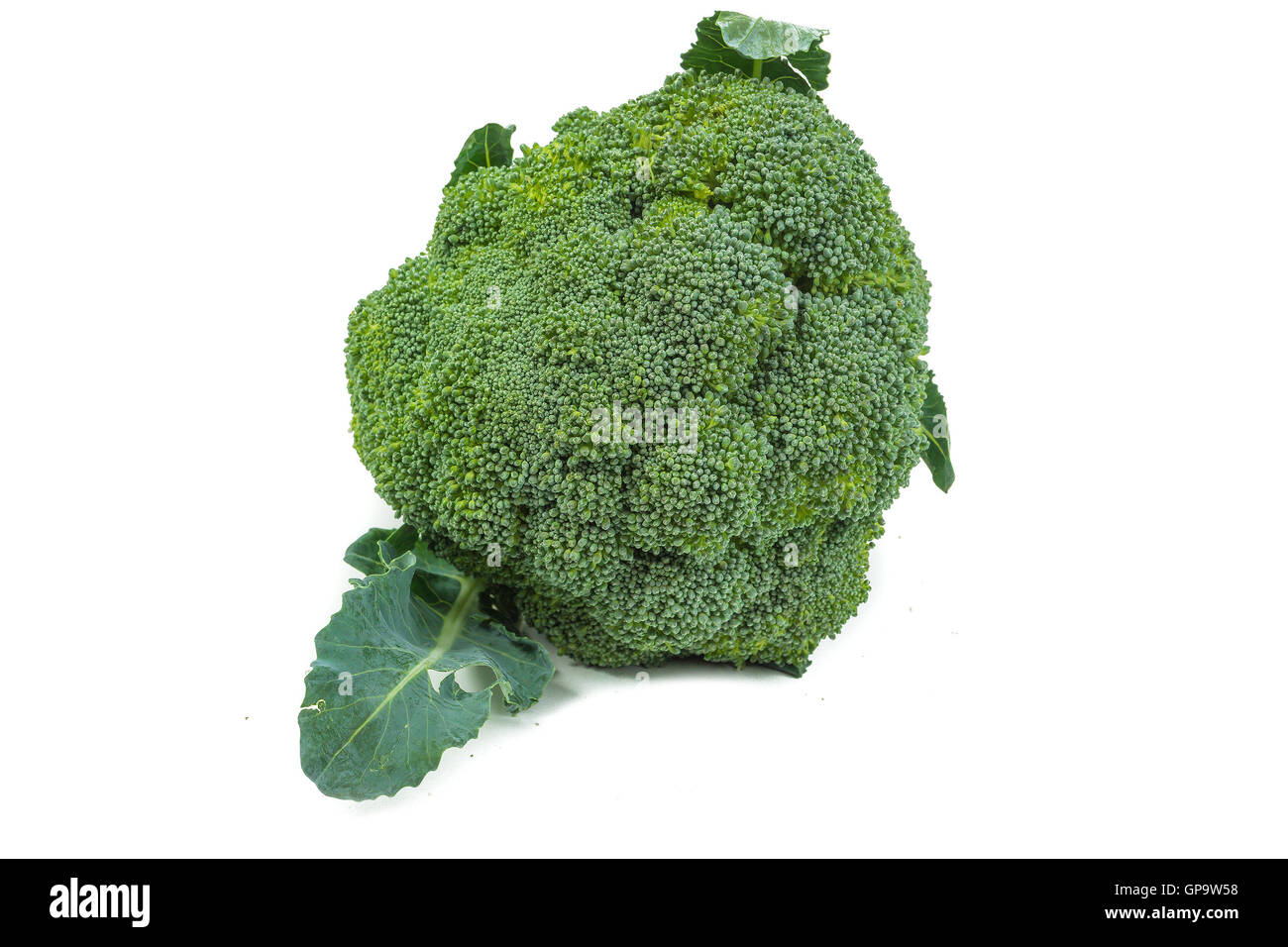 Green rip broccoli isolated on white background Stock Photo - Alamy
