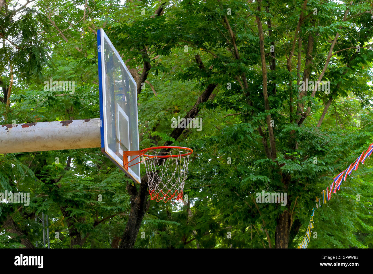 Old basketball hoop with the big tree on background Stock Photo Alamy
