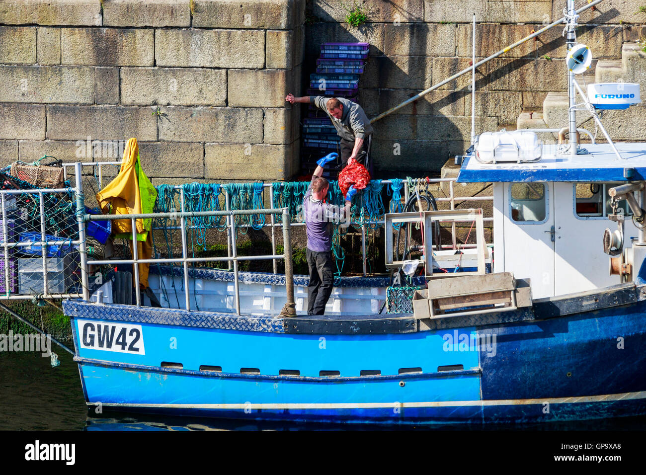 Fishing boat unloading freshly caught cockles, Port Glasgow, Scotland, UK Stock Photo