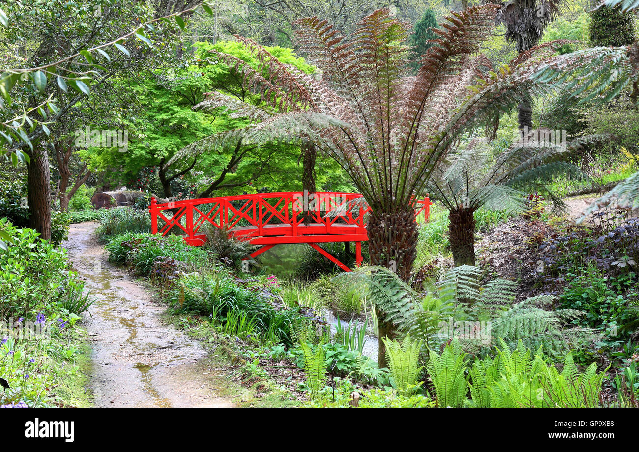 Sub Tropical Garden with colorful japanese style bridge over a stream Stock Photo