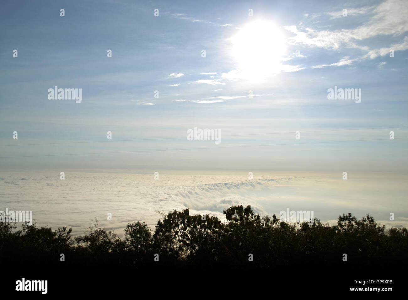 Fog over forest sunset hi-res stock photography and images - Alamy