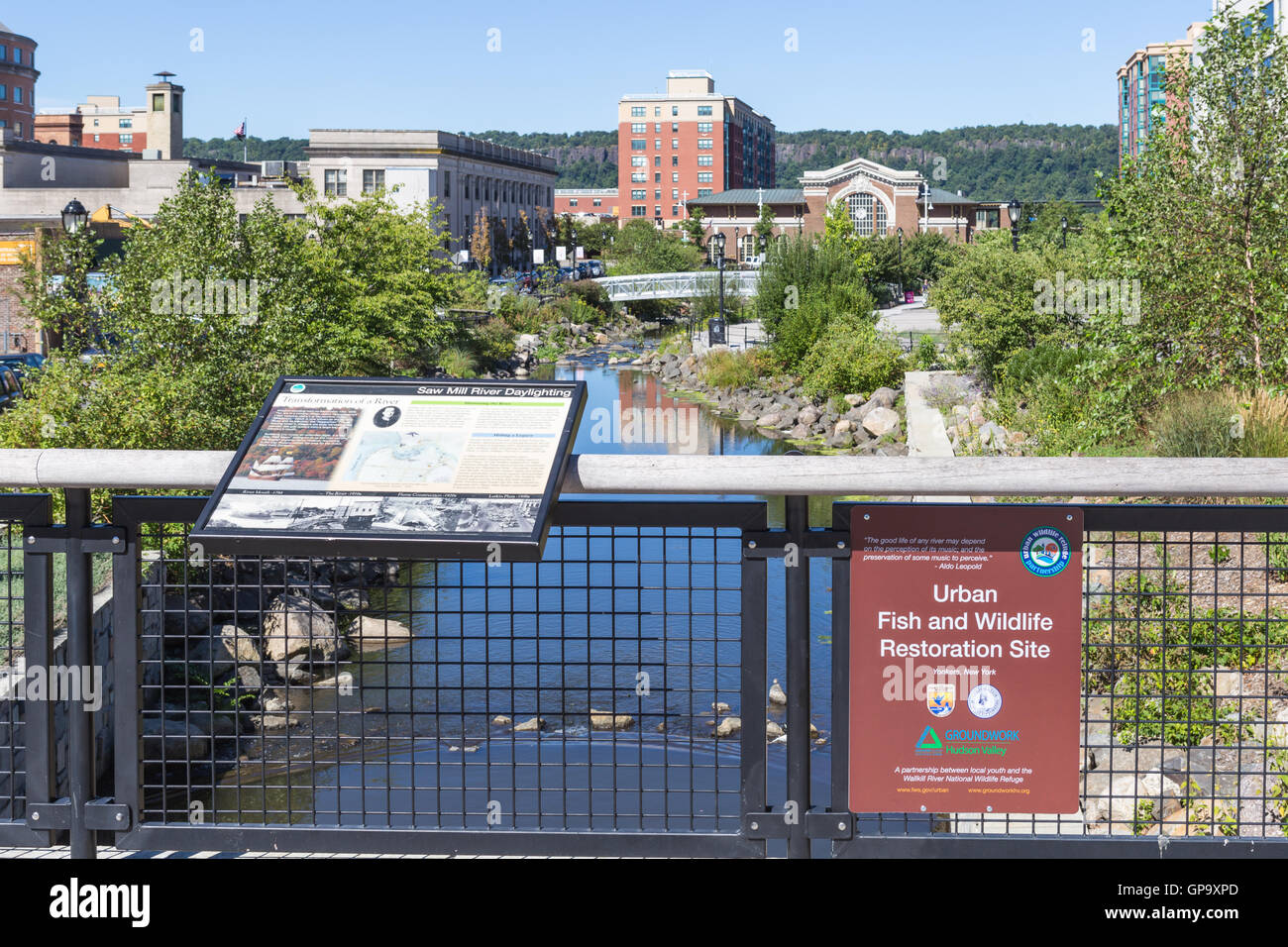 A sign provides information on the Saw Mill River Daylighting initiative in Van Der Donck Park in Yonkers, New York. Stock Photo