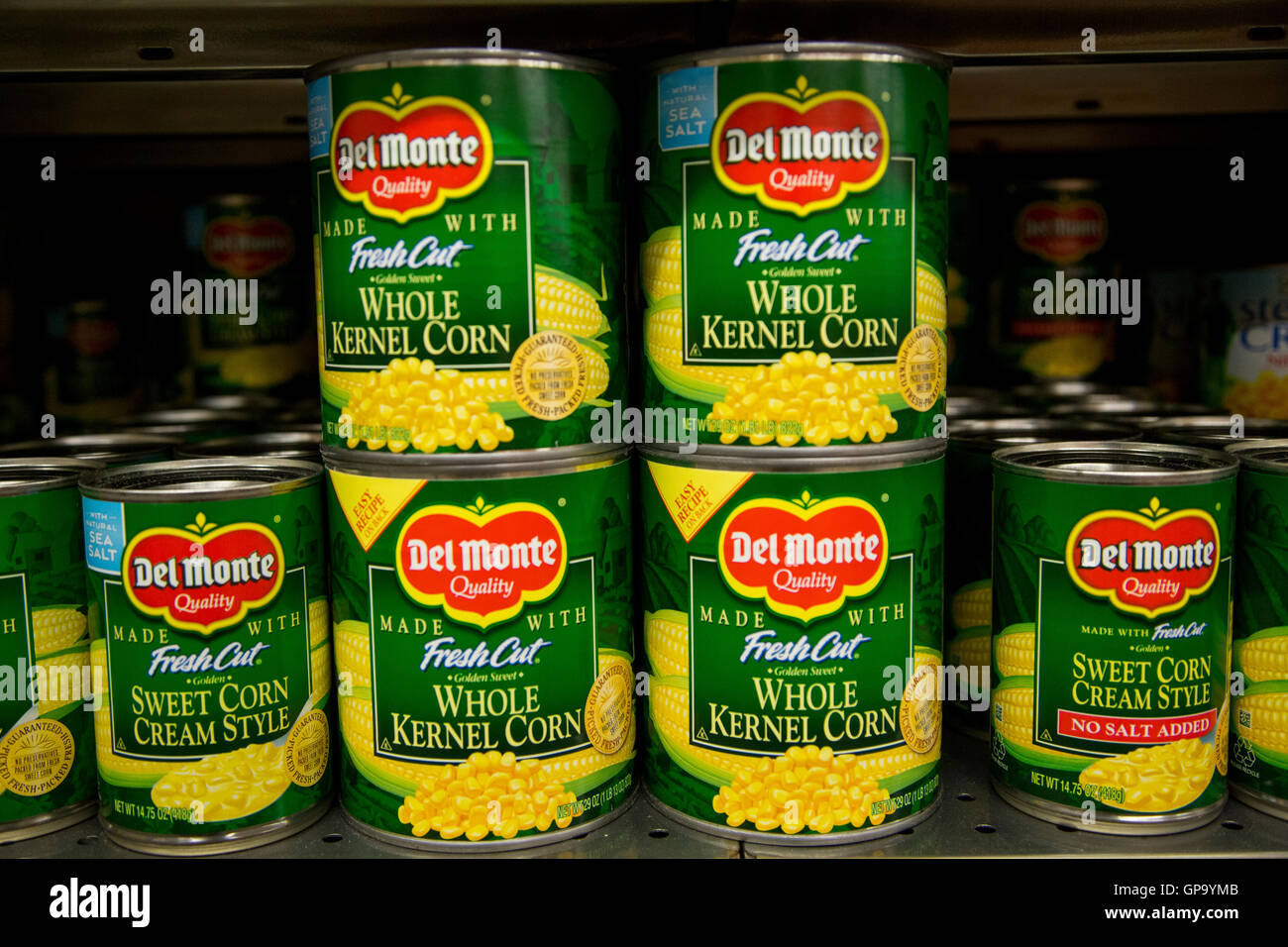 Rows of canned food on a grocery store shelf Stock Photo Alamy