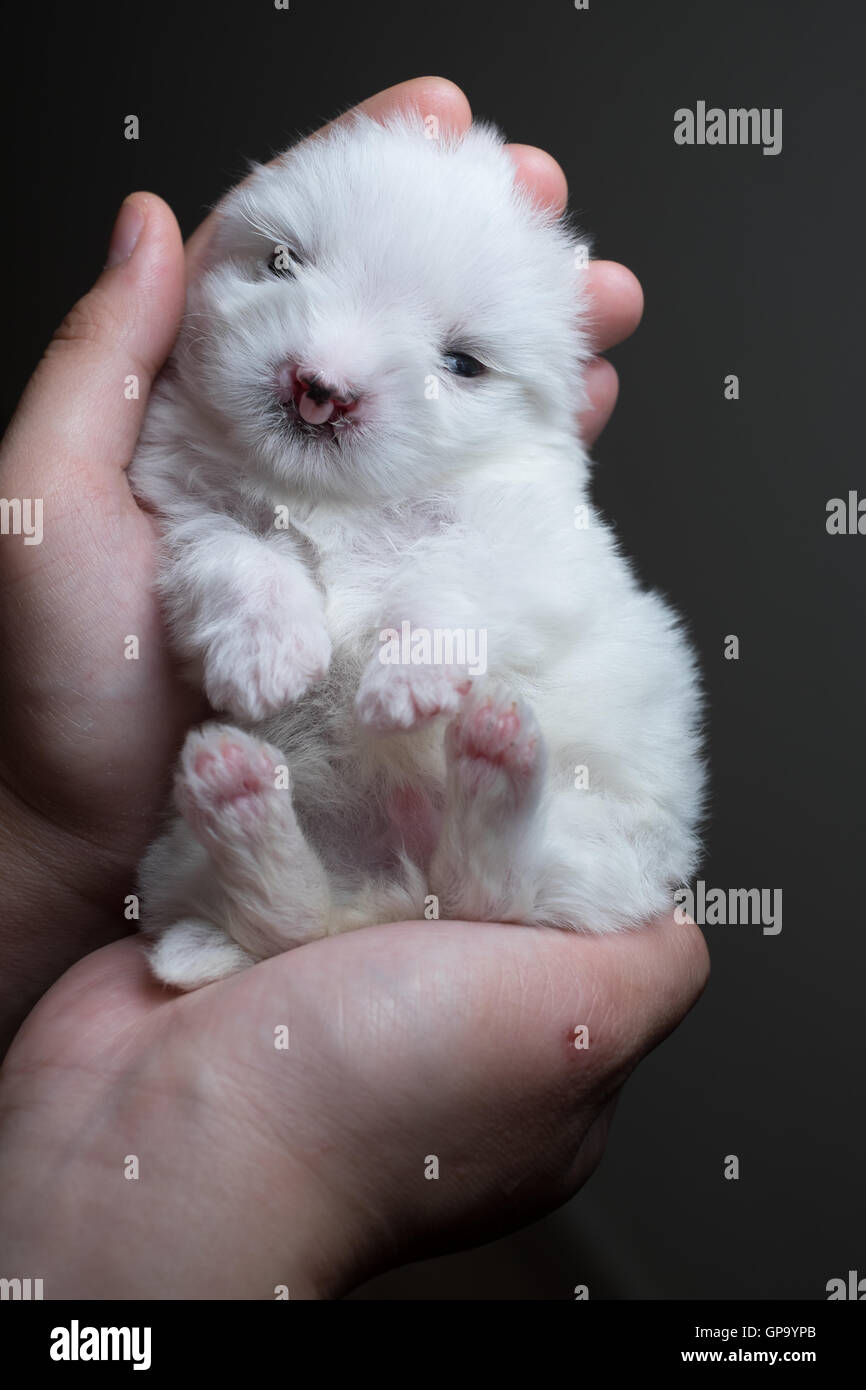 Cleft lip baby hi-res stock photography and images - Alamy