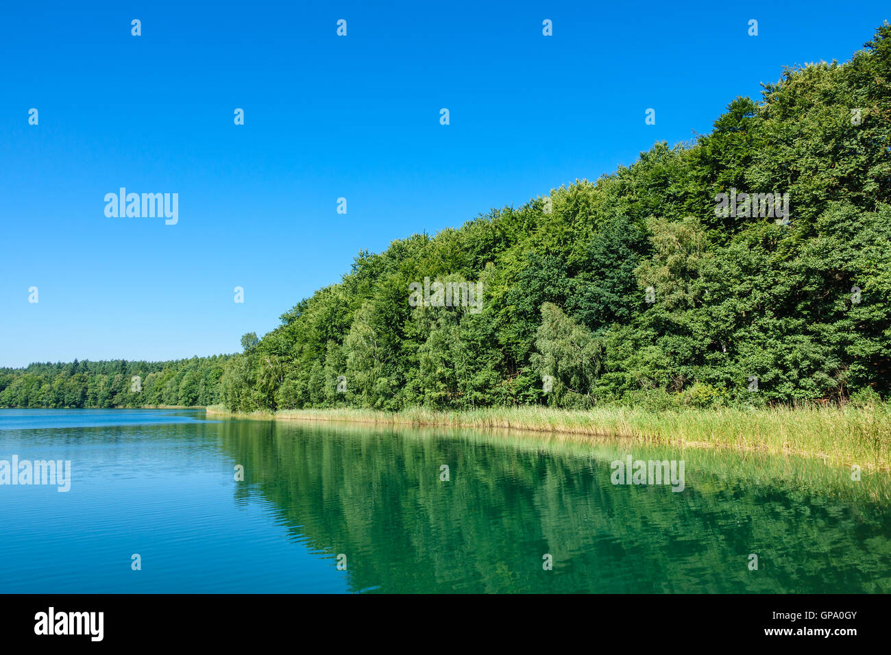 Landscape on a lake with trees Stock Photo - Alamy