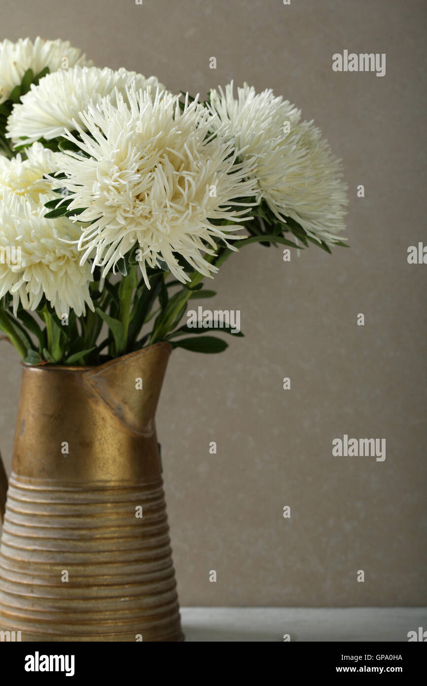 Asters in ancient pitcher, flowers Stock Photo