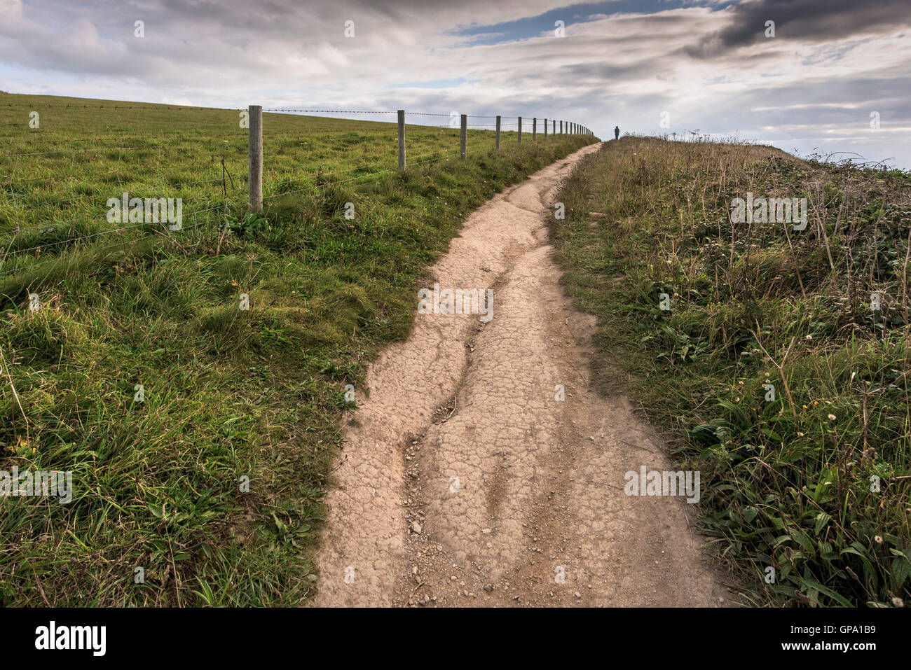 The South West Coastal Path in Cornwall. Stock Photo