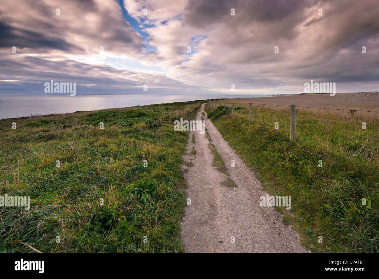 The South West Coastal path on the North Cornwall coast. Stock Photo