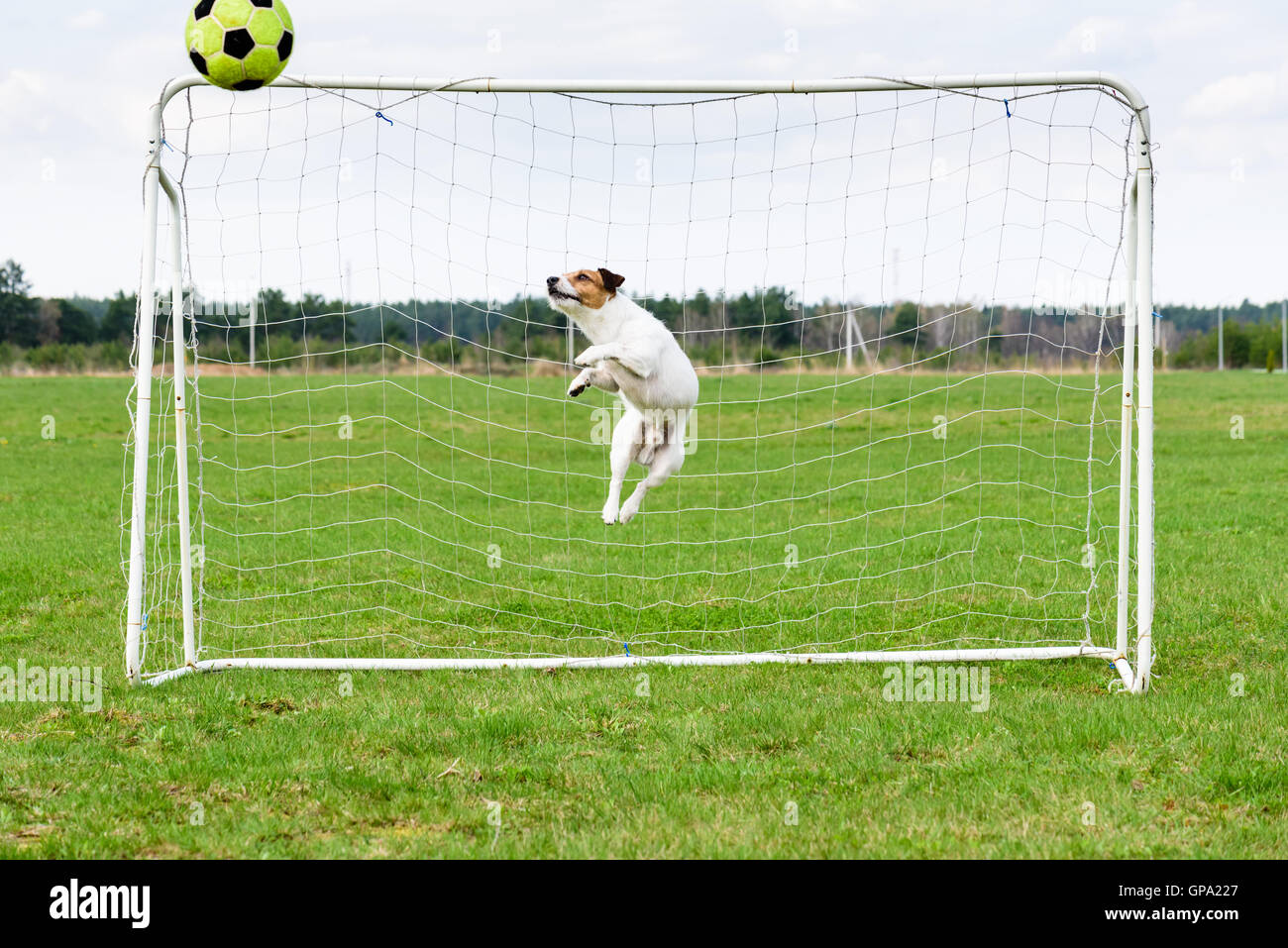 Soccer ball in soccer goal hires stock photography and images Alamy