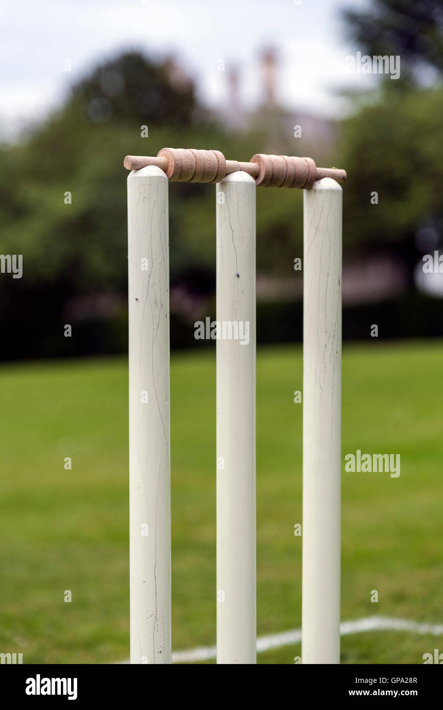Close up of cricket stumps on a traditional grass pitch Stock Photo