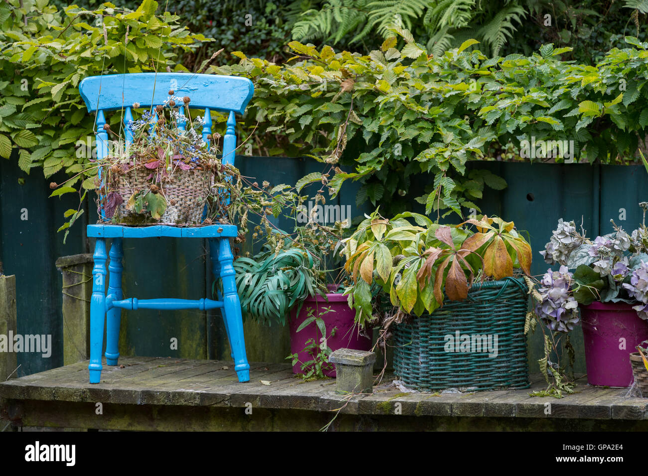 Blue chair in the countryside Stock Photo - Alamy