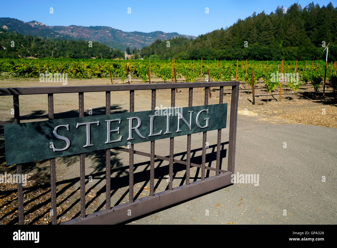 Sterling Vineyards winery vineyard with the iron gate in foreground