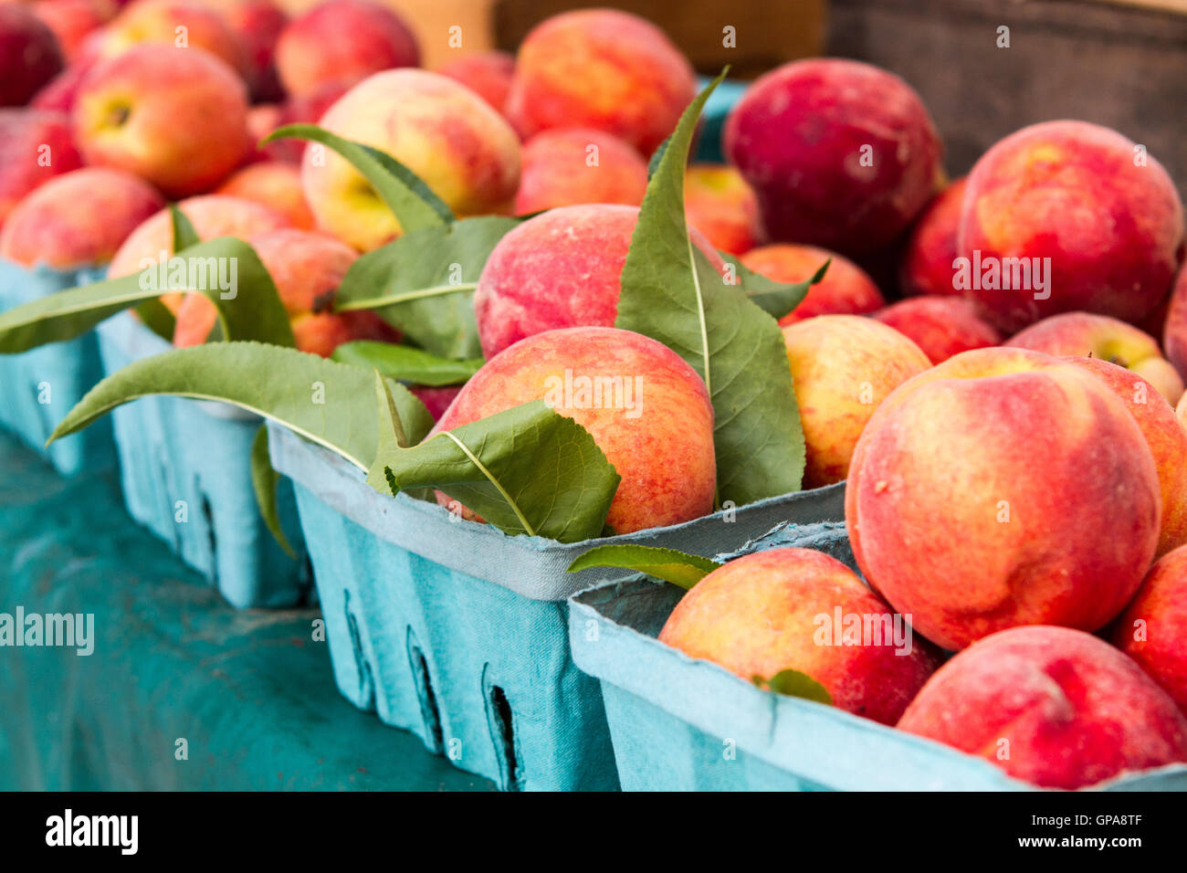 Peaches in baskets at farmers market Stock Photo