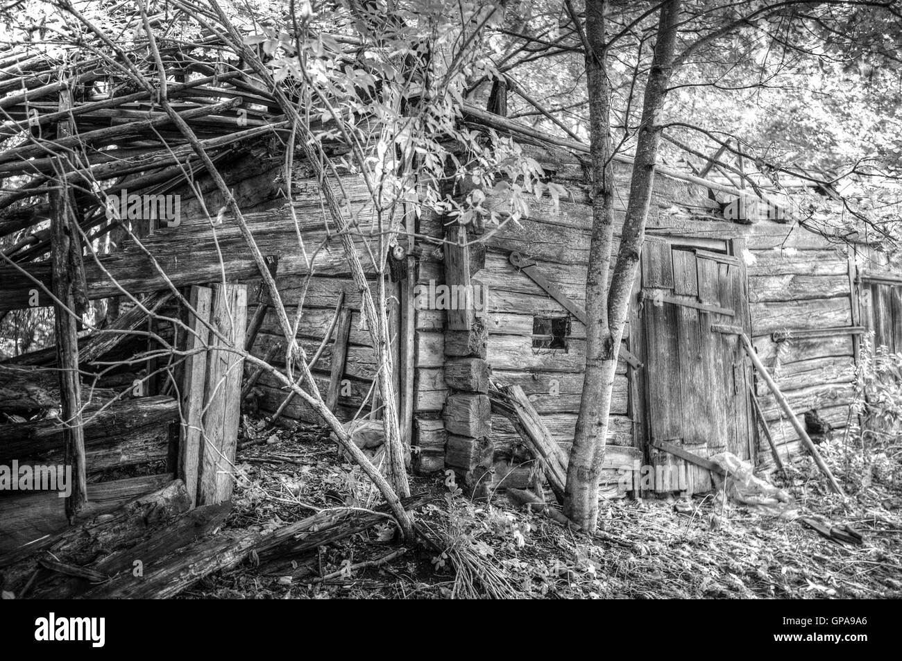 monochrome black and white infrared photography house in the woods. Stock Photo