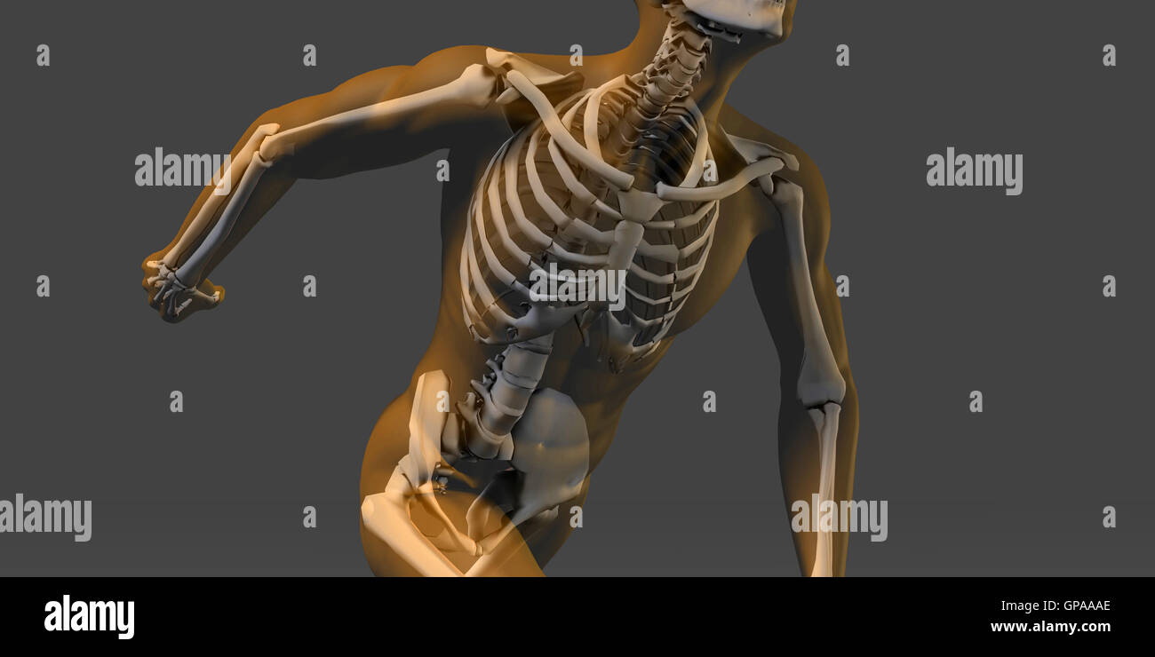 Human Body and Skeleton Anatomy Xray Concept Stock Photo - Alamy