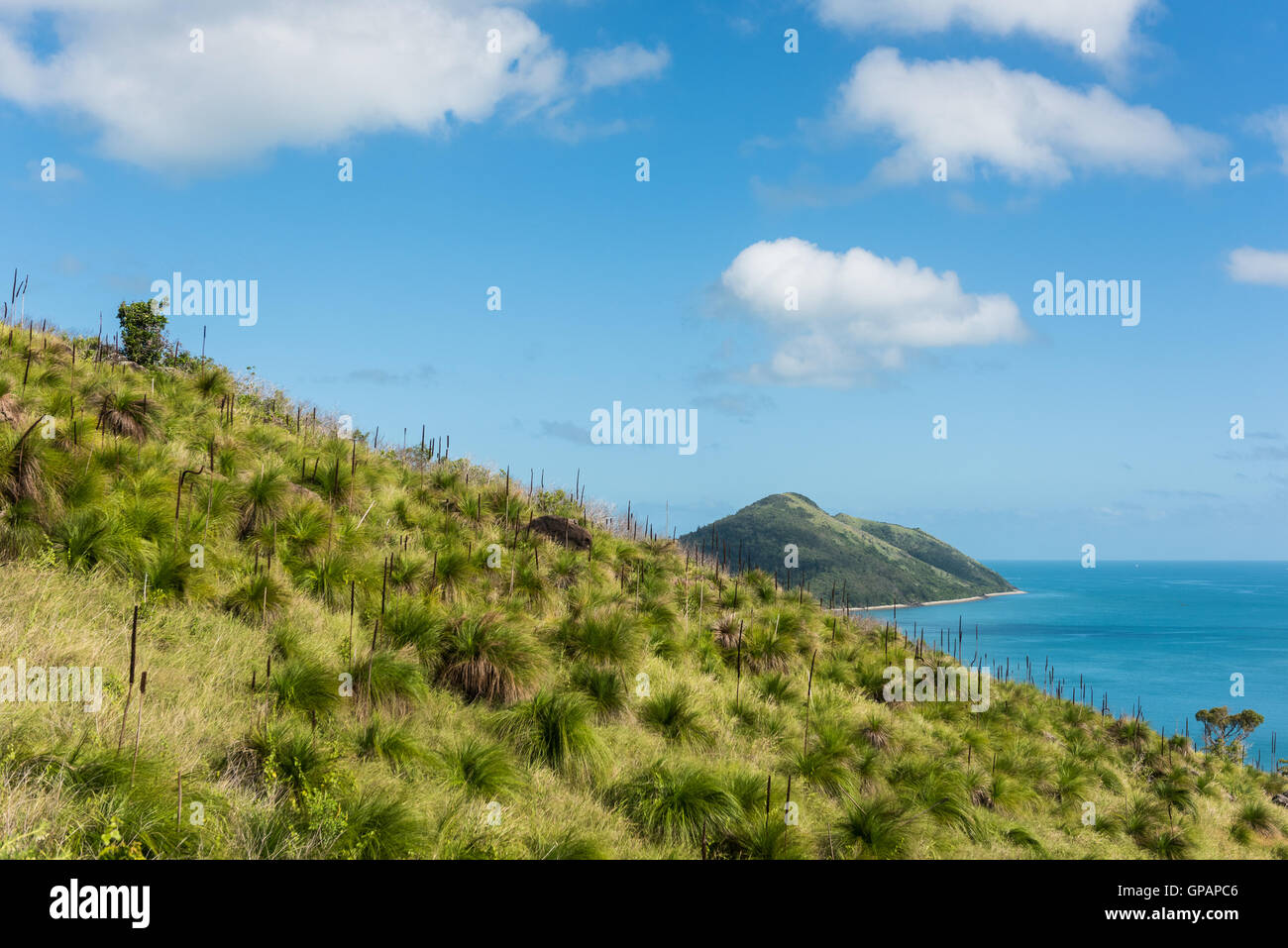 Hiking in lush green nature on South Molle Island, Whitsunday Islands, Queensland, Australia Stock Photo