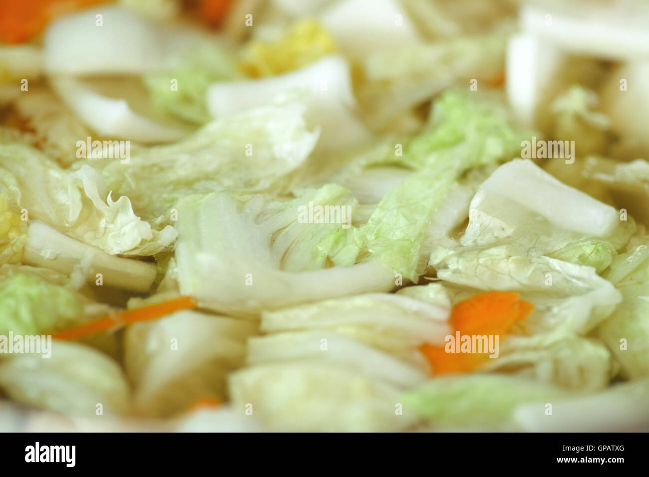 Vegetable cabbage soup Stock Photo
