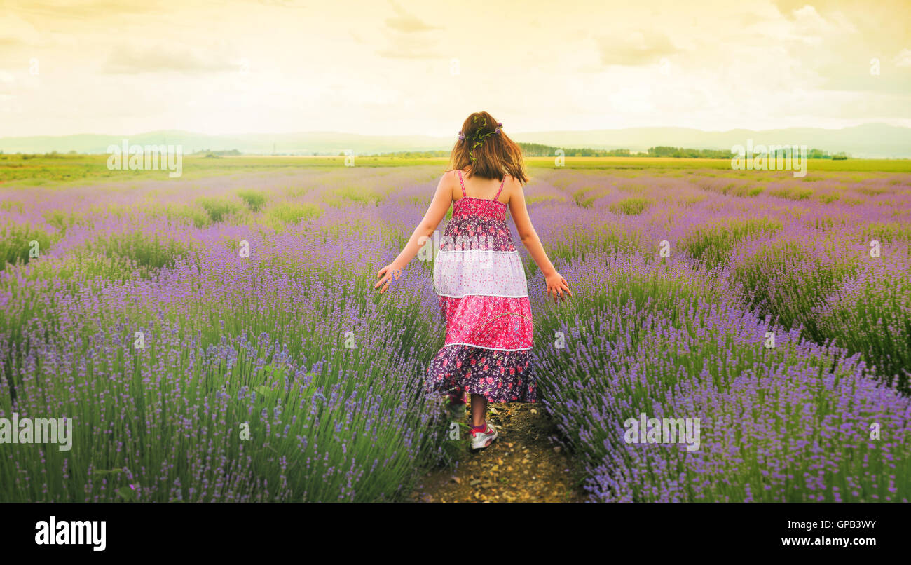 Beautiful young girl in lavender fields walking into sunset Stock Photo ...