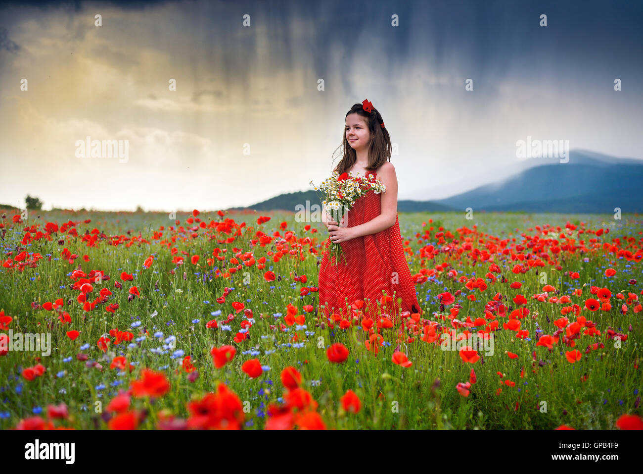 Beautiful young girl in field of Poppies wearing red dress Stock Photo ...