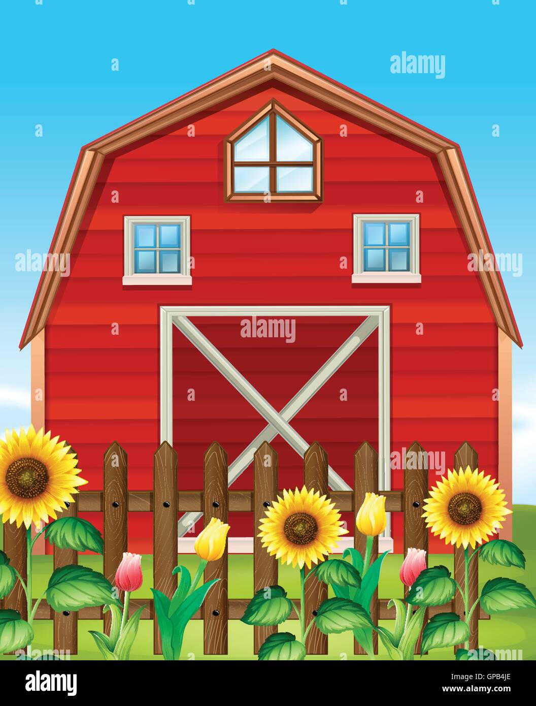 Red barn and sunflower field illustration Stock Vector Image & Art - Alamy