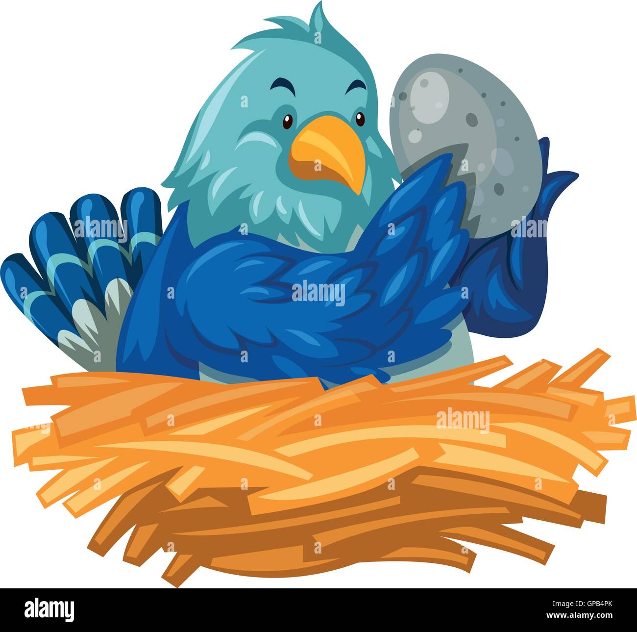 Blue bird hatching egg in nest illustration Stock Vector Image & Art