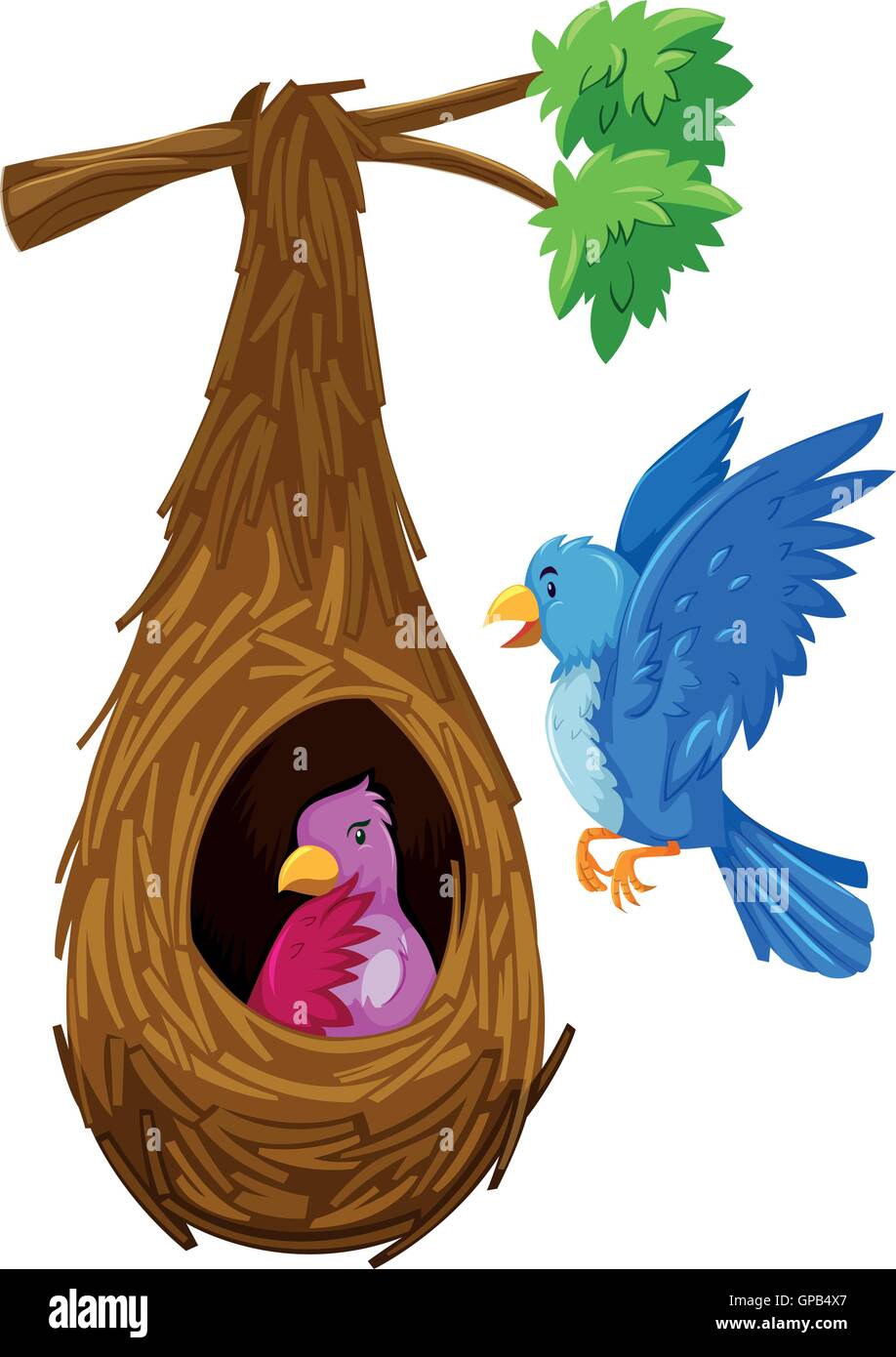 Bird hatching in nest and bird flying outside illustration Stock ...