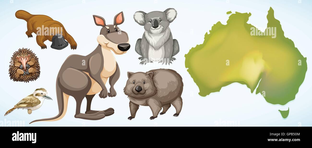 Different wild animals in Australia illustration Stock Vector Image ...