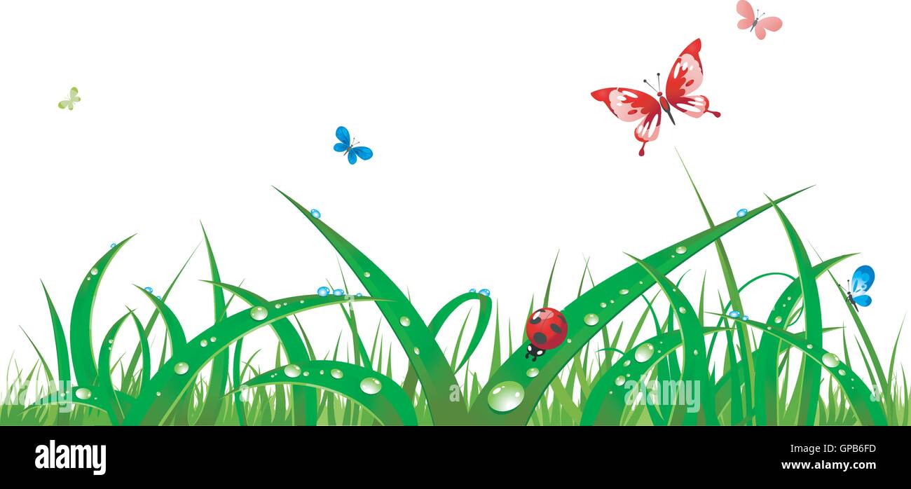 Wet grass and insects Stock Vector Image & Art - Alamy