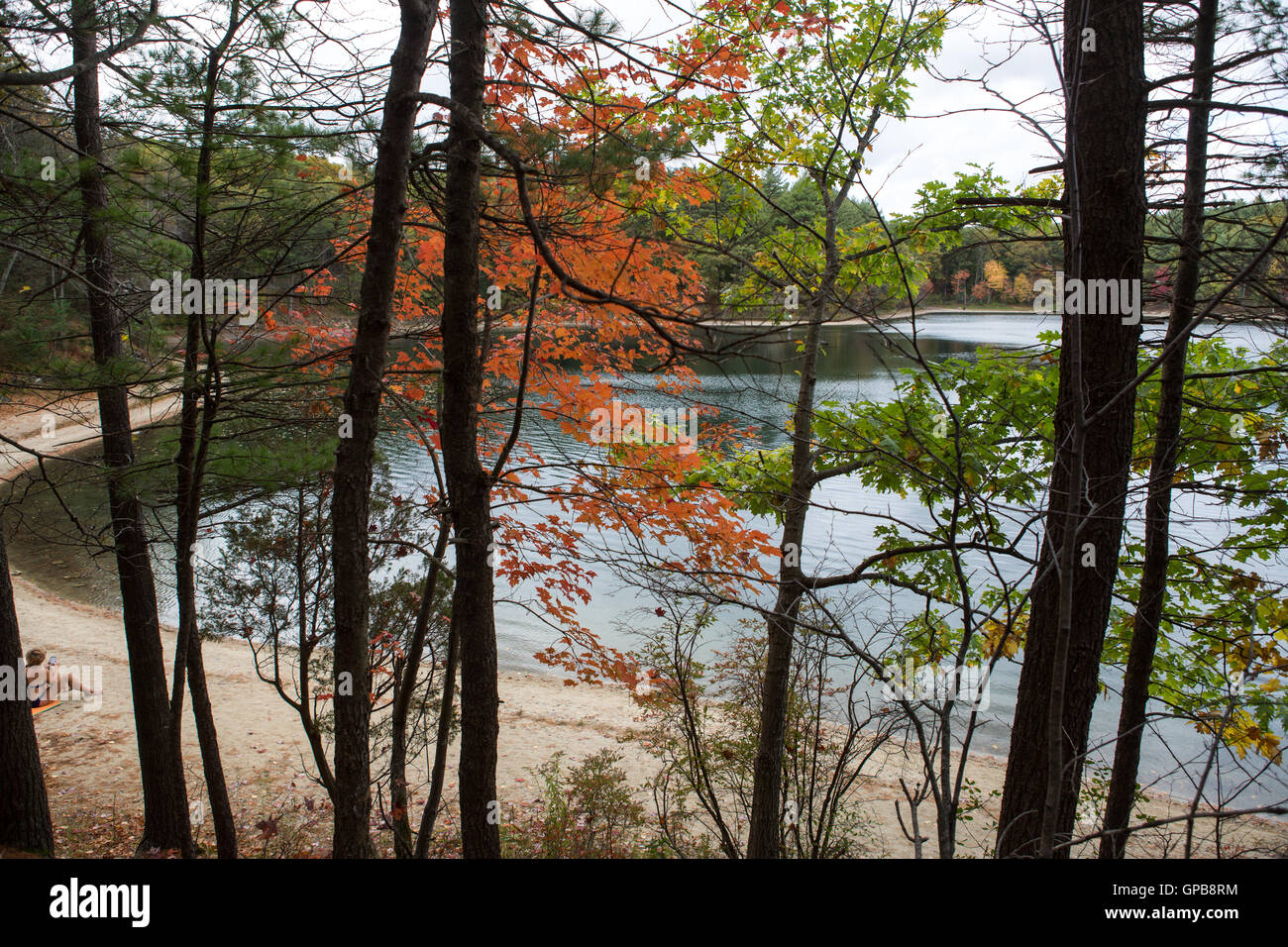 Walden Pond in Massachusetts in autumn Stock Photo Alamy